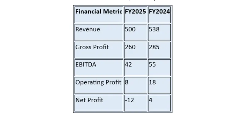 Financial Summary Table